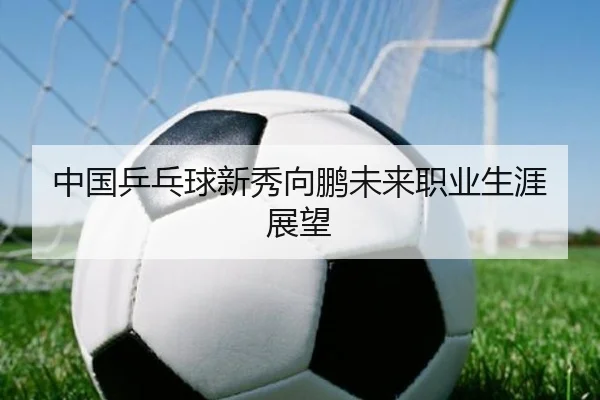 中国乒乓球新秀向鹏未来职业生涯展望